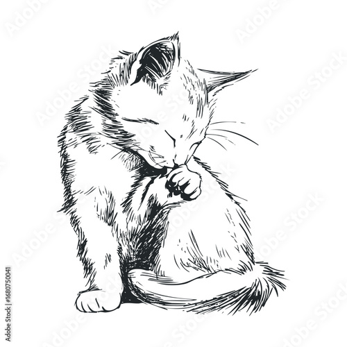Cute cat grooming itself, perfect for pet lovers and home decor. Vector illustration