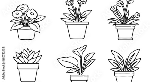 Six potted plants are presented in line art style. Flowers, plants, pots, botany, gardening, nature, spring, decoration, floral, bloom, decorative, flora, greenery.