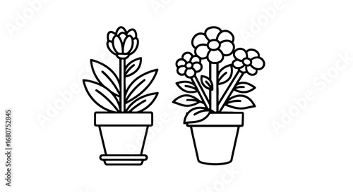 Two potted plants illustration on white background. Flowers, growth, plant, garden, nature, spring, cute, floral, vector, potted, design, botany, bloom.