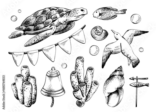 Hand drawn line art illustration of turtle, coral, shells, flags and seagull. Black ink marine collection with bubbles and nautical elements, perfect for clipart, coastal projects and design.
