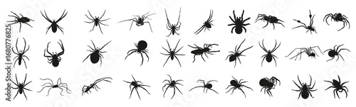 black silhouettes of spiders_9640749 [Converted]