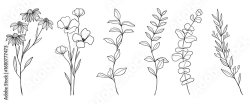 BotanicalElementPu vector illustration