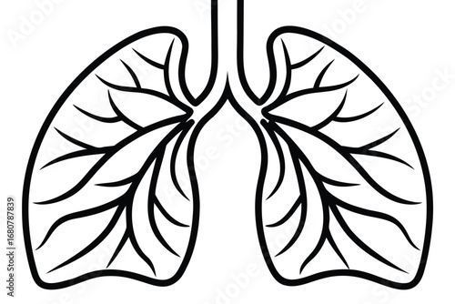 Simple Lungs Outline Black Lines on White Background Anatomy Art