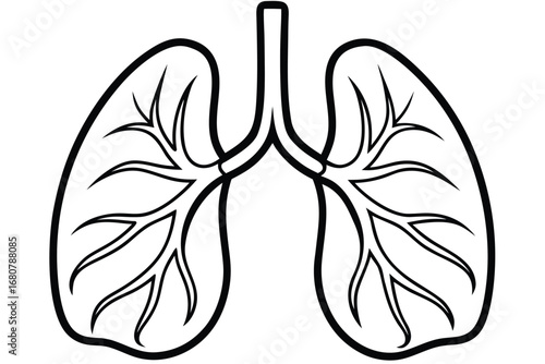 Lung Anatomy with Bronchial Tree in Black Outline on White