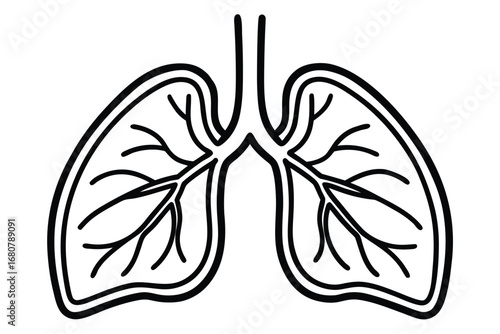 Human Lungs Outline in Black and White on a White Background