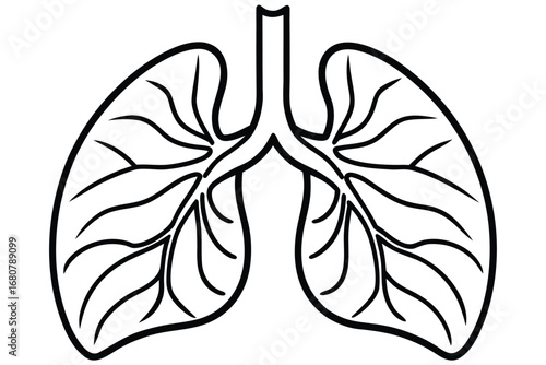 Human Lungs Line Art Illustration, Black Outlines on White Background Design