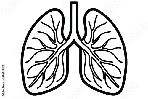 Human Lung Anatomy Illustration, Black Outline Drawing on a White Background