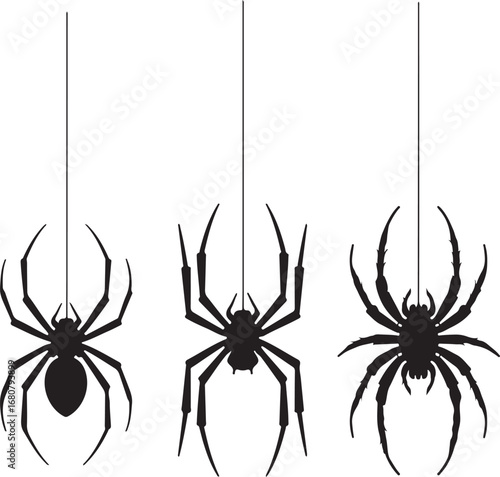 halloween background with spider
