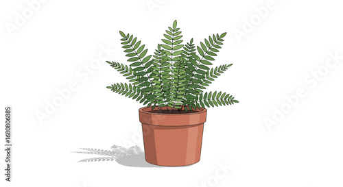 Elegant potted fern illustration with simple lines and muted color palette