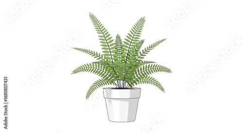 Illustration of a graceful fern plant nestled within a modern white pot