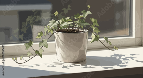 Potted ivy illustration sitting on a windowsill, natural light vector