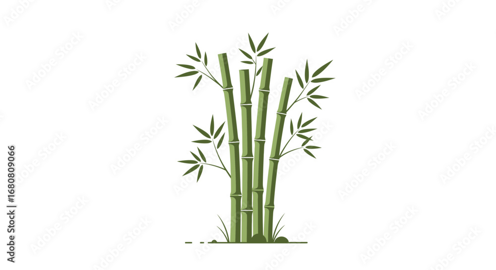 Fototapeta premium Tranquil vector illustration of bamboo grove on clean white background