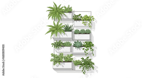 Vertical garden with assorted plants in white modular containers display