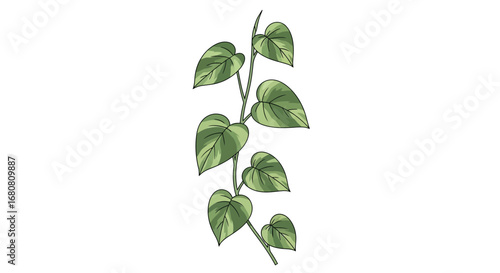 Artistic rendering of a golden pothos vine with lush variegated leaves