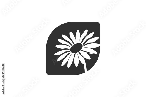 Daisy illustration shines brightly against a dark rounded leaf shape elegantly