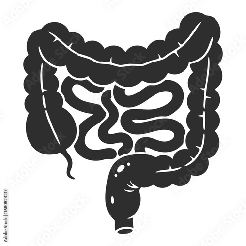 Illustration of Large and Small Intestine