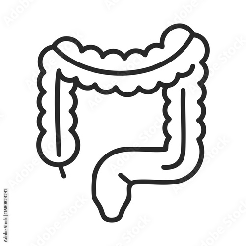 Illustration of Large and Small Intestine