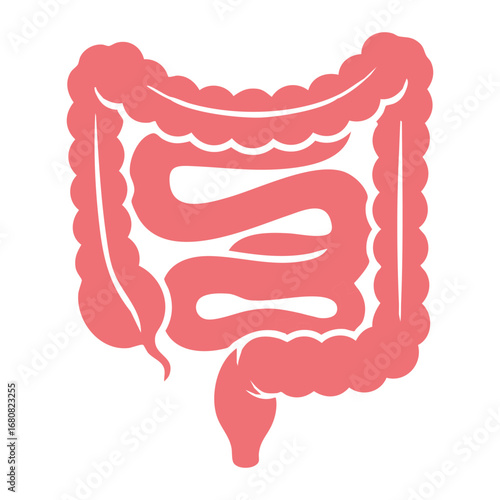 Illustration of Large and Small Intestine