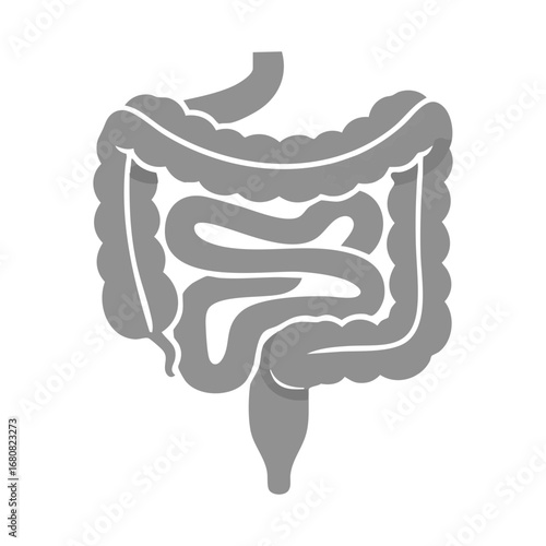 Illustration of Large and Small Intestine