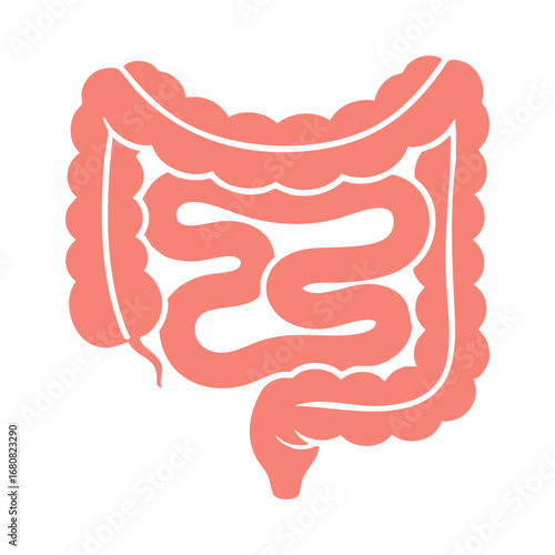 Illustration of Large and Small Intestine
