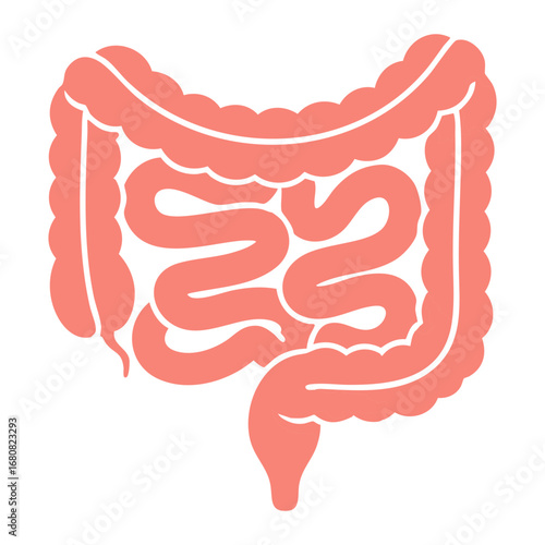 Illustration of Large and Small Intestine