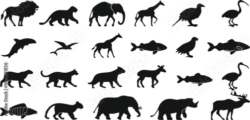 Assortment of White Animal Silhouettes on Black Background