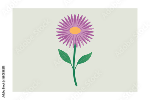 Vintage Botanical Drawing of a New England Aster
