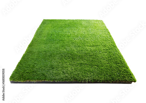 Bild auf Leinwand Astro turf floor Isolated on Transparent or White Background.
