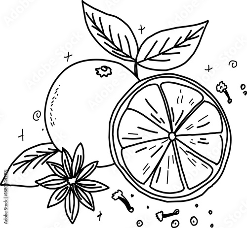 Hand-Drawn whole orange, orange slice, cloves, and star anise with leaves in festive winter style on transparent background, Line art