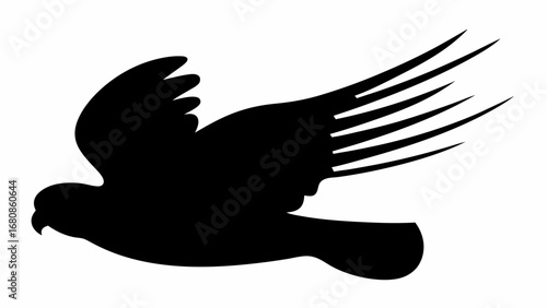 Silhouette of a bird with spread wings in flight against a white background, showing detail of feathers