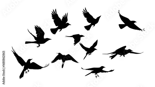 Black birds in flight silhouette black bird silhouette