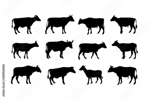 Vector art of diverse set of cow and cattle silhouettes, featuring various breeds and poses for agricultural and design use