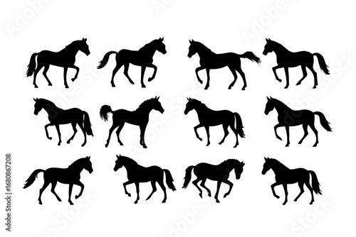 Vector art of a collection of horse silhouettes, capturing the essence of equine beauty and power in various dynamic poses