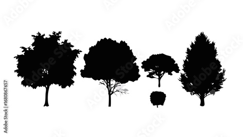 Diverse Trees Silhouette forest nature
