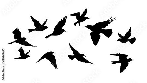 Flock of Birds in Flight flying silhouette