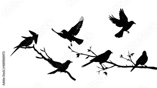 Flock of Birds Perched and Flying branches