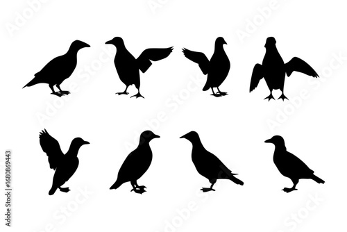 Vector art of silhouette of crows and ravens in various poses, featuring birds perching, standing, and flying with wings spread
