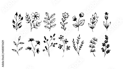 Rough Ink Brush Floral Elements organic botanical
