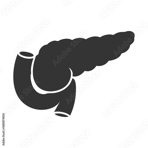 pancreas human body part