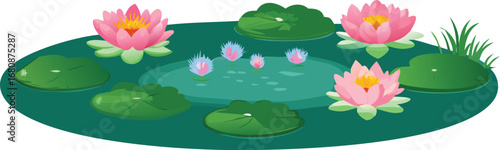 Water lily flowers illustrated in a vector style, showcasing delicate petals and vibrant colors against a simple background