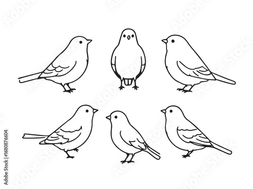 Canary vector line art 