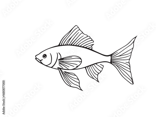Catfish vector line art 