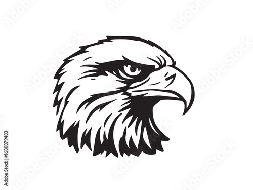 Eagle line art illustration