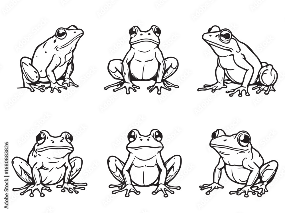 Fototapeta premium Frog line art illustration