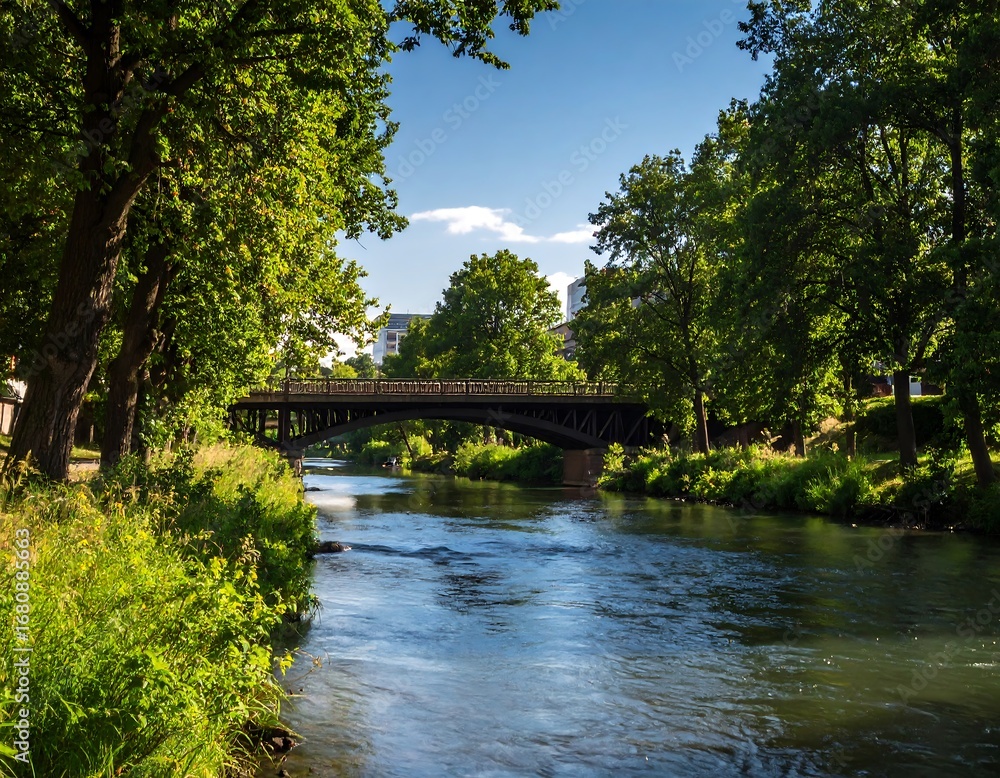 Fototapeta premium River bridge with trees