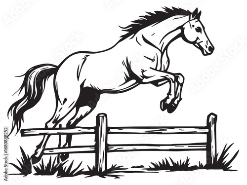 Horse line art illustration