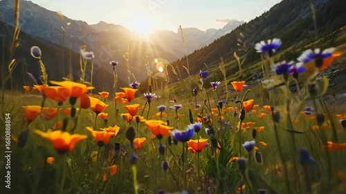 Fresh green meadows and blooming flowers