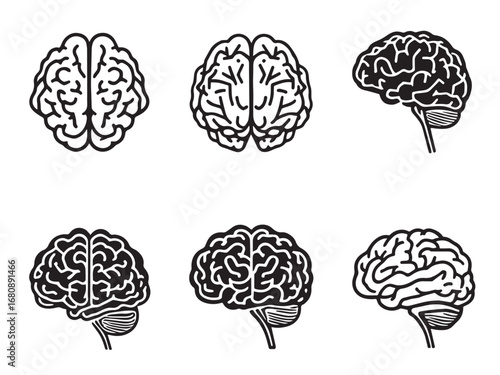 human brain line art illustration