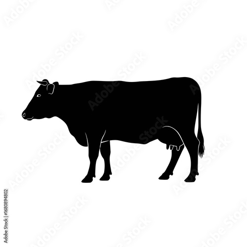 Black cow silhouette isolated on white background