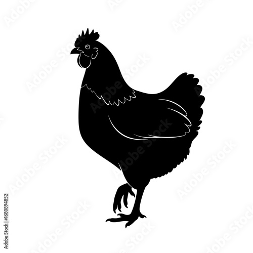 Black silhouette of a chicken isolated on white background silhouette